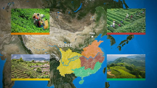 Mapping the World Season 37 Episode 13 - Tea, a trendy beverage
