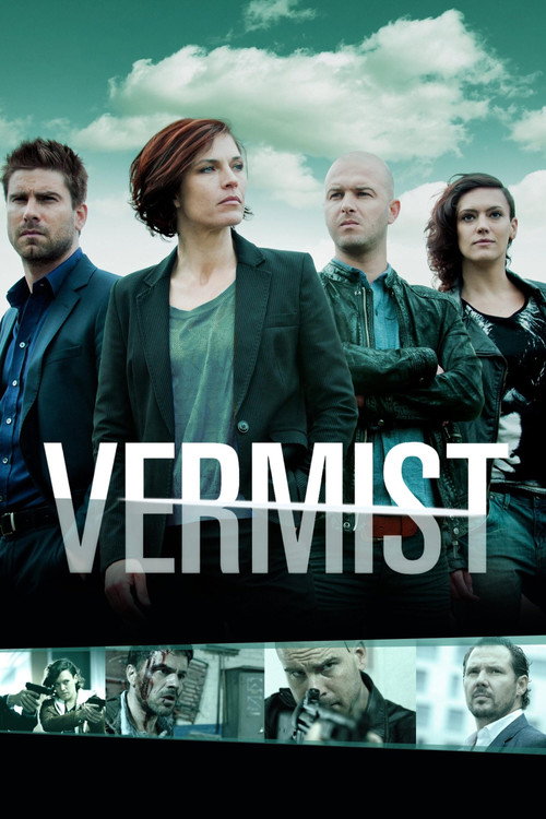 Vermist poster