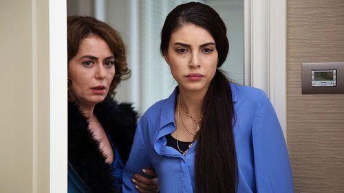 Mrs. Fazilet and Her Daughters Season 2 Episode 23 - Episode 23