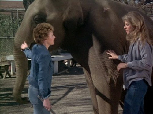 The Bionic Woman Season 1 Episode 5 - Claws