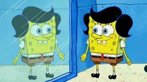 SpongeBob SquarePants Season 5 Episode 21 - Picture Day