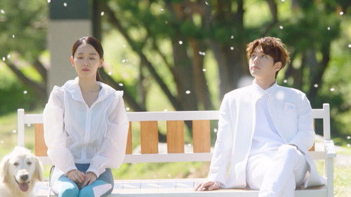 Angel's Last Mission: Love Season 1 Episode 1 - Yeon-seo Fails to Receive the Cornea Donation