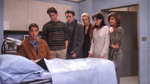 undefined Season 1 Episode 17 - The One with Two Parts (2)
