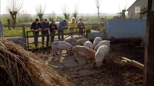 Onze boerderij Season 2 Episode 2 - Episode 2