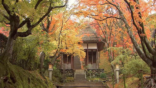 Core Kyoto Season 1 Episode 17 - The Changing Leaves: The Transient Fall Beauty of the Ancient Capital