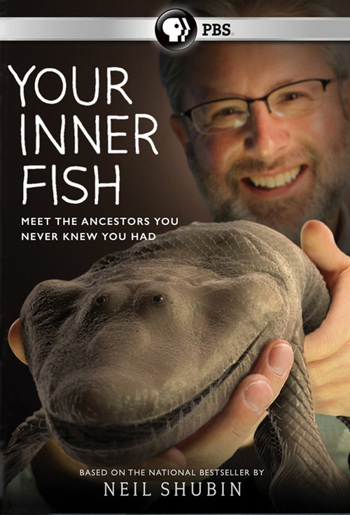 Your Inner Fish poster