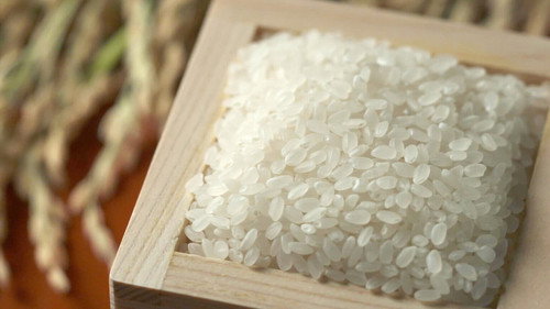 Trails to Oishii Tokyo Season 1 Episode 15 - RICE