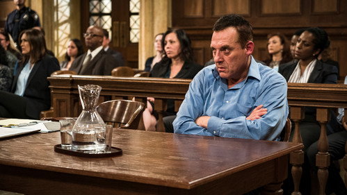 Law & Order: Special Victims Unit Season 17 Episode 9 - Depravity Standard