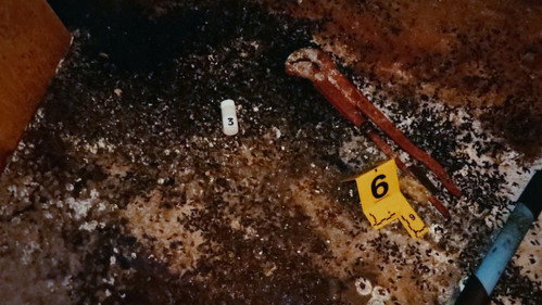 True Crime Belgium Season 1 Episode 9 - Episode 9