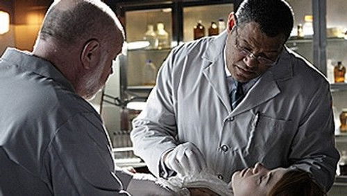 CSI: Crime Scene Investigation Season 9 Episode 14 - Miscarriage of Justice