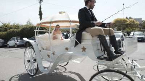My Crazy Italian Wedding Season 5 Episode 2 - Episode 2