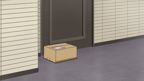 The Porch Pirate Epidemic still