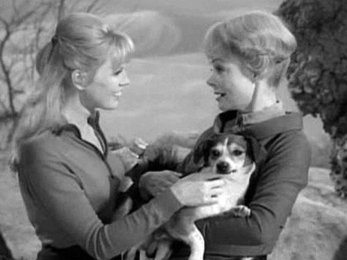 Lost in Space Season 1 Episode 13 - One of Our Dogs Is Missing