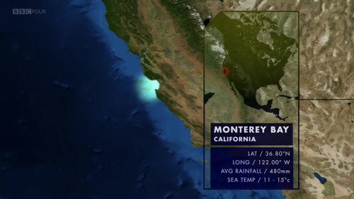 Nature's Microworlds Season 1 Episode 4 - Monterey Bay