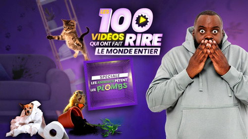 The 100 videos that made the whole world laugh Season 1 Episode 25 - Les animaux pètent les plombs