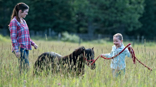 Heartland Season 10 Episode 9 - A Horse with No Rider