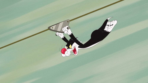 Zip Line still