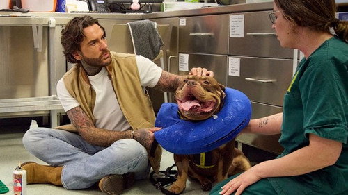 Pete Wicks: For Dogs’ Sake Season 4 Episode 3 - Monica, Biggie and Rachel