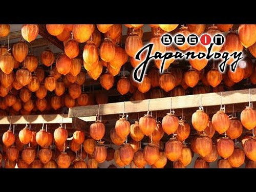 Begin Japanology Season 7 Episode 1 - Persimmons