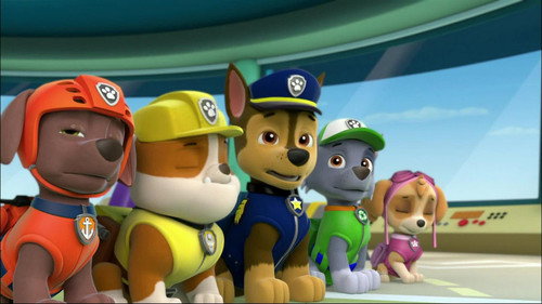 Pups Save the Bunnies still