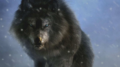 Strange Evidence Season 5 Episode 8 - Revenge of the Monster Wolf
