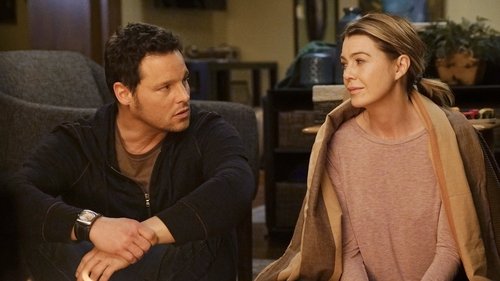 Grey's Anatomy Season 12 Episode 16 - When It Hurts So Bad