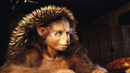 The Storyteller Season 1 Episode 5 - Hans My Hedgehog