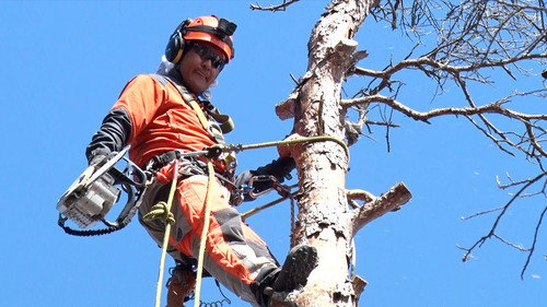 Where We Call Home Season 2 Episode 12 - Living With Forest and Mountain
