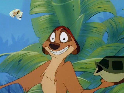 Timon and Pumbaa Season 2 Episode 10 - Truth or Zaire