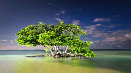 America's National Parks Season 1 Episode 3 - Everglades