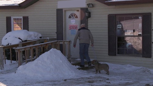 The Incredible Dr. Pol Season 20 Episode 2 - Lilo and Stitches