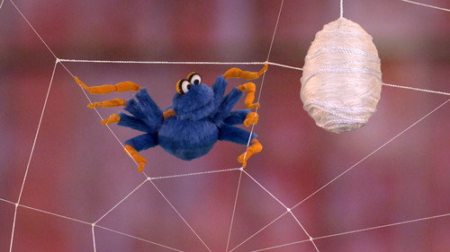 The Itsy Bitsy Spider Search still