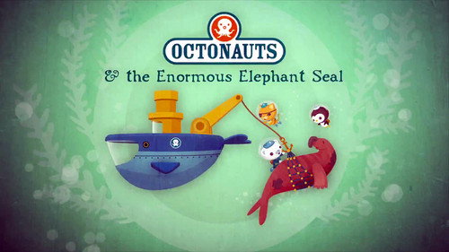The Enormous Elephant Seal still