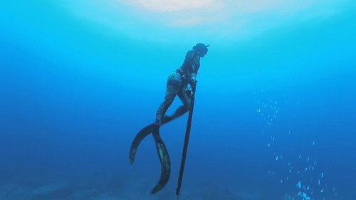 MeatEater Season 10 Episode 7 - Spearfishing the Big Island