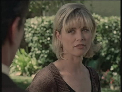 Diagnosis: Murder Season 4 Episode 1 - Murder by Friendly Fire