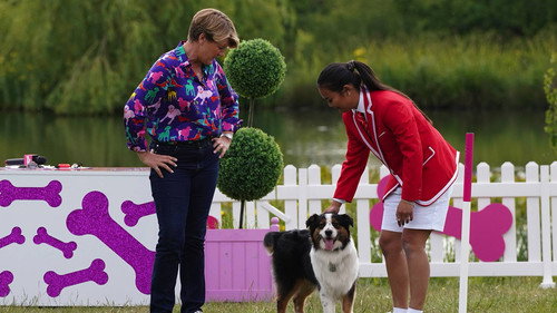 Celebrity Sabotage Season 1 Episode 5 - Episode 5