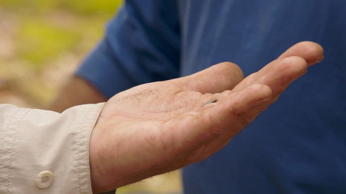 The Curse of Oak Island Season 10 Episode 8 - A Lot to Be Desired