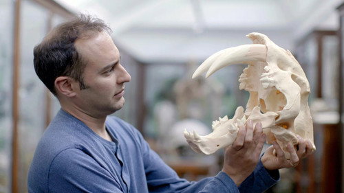 Lost Beasts Unearthed Season 1 Episode 3 - Secrets of the Sabre-Toothed Tiger