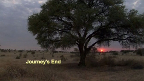 Meerkat Manor Season 3 Episode 8 - Journey's End