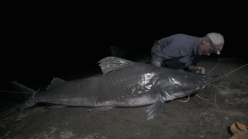 River Monsters Season 6 Episode 4 - Man-Eating Monster