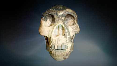 Ancient Aliens Season 17 Episode 5 - The Human Experiment
