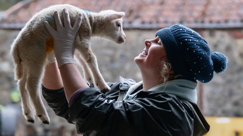This Farming Life Season 7 Episode 4 - Lamb-ageddon
