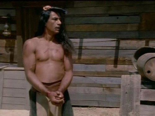 Dr. Quinn, Medicine Woman Season 1 Episode 11 - The Prisoner