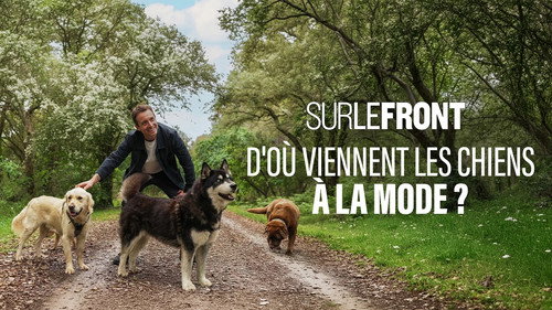 Sur le front Season 7 Episode 9 - Episode 9