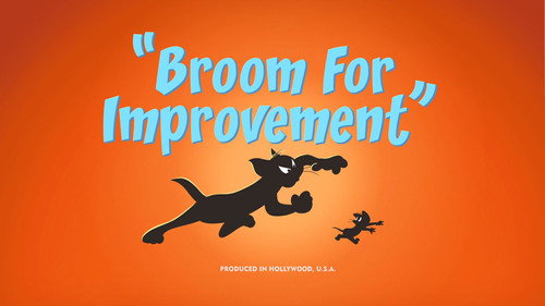 Broom for Improvement still