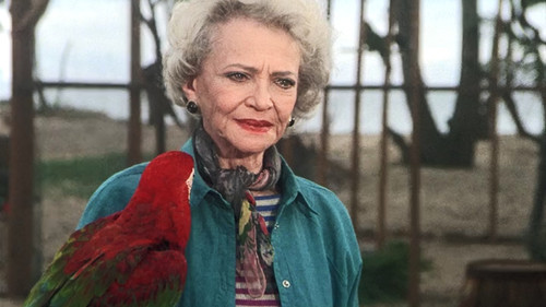Magnum, P.I. Season 3 Episode 16 - Birdman of Budapest