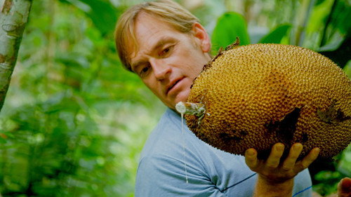 Down to Earth with Zac Efron Season 1 Episode 3 - Costa Rica