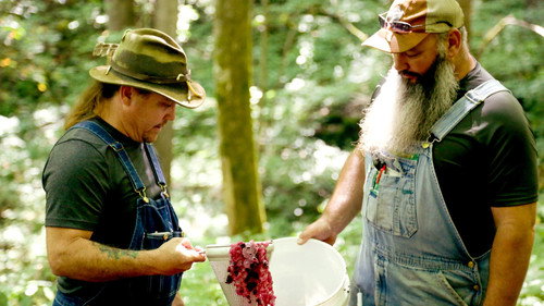 Moonshiners Season 11 Episode 6 - Champagne or Shine Pain?