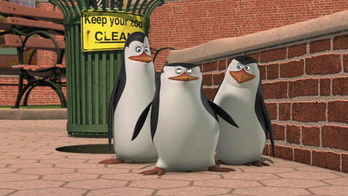 The Penguins of Madagascar Season 3 Episode 24 - Skipper Makes Perfect
