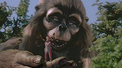 Simian Forest still